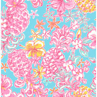 Shop Lilly Prints & Fabric Patterns